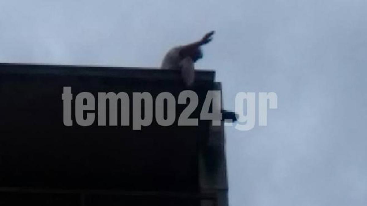 ΦΩΤΟ από tempo24