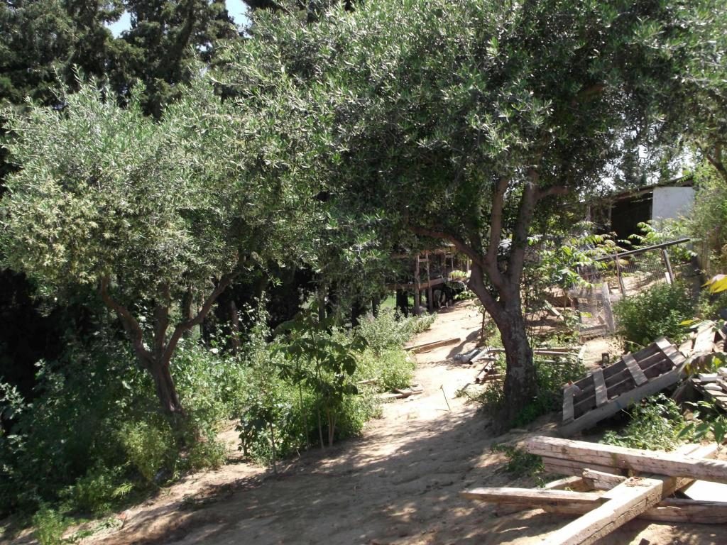 ΦΩΤΟ ΕΛ.ΑΣ.