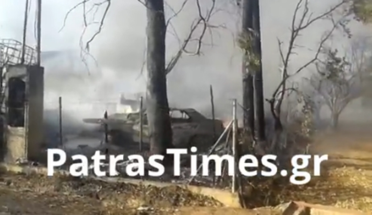 Στάχτη το εργοστάσιο ανακύκλωσης στην Πάτρα – Κάηκαν ζωντάνα τέσσερα σκυλιά ((VIDEO)