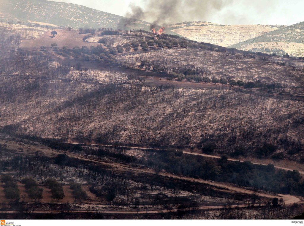 Φωτιές σε Αιτωλοακαρνανία, Κρήτη και Χίο – Κρανίου Τόπος στον Έβρο