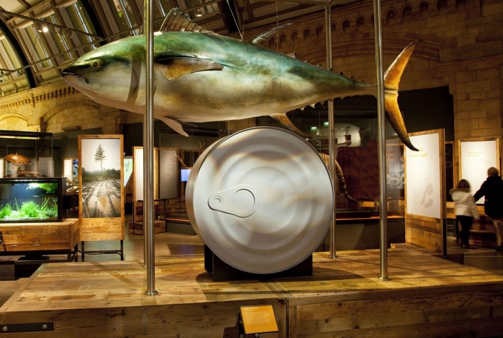 ΦΩΤΟ: ΑΠΕ - ΜΠΕ