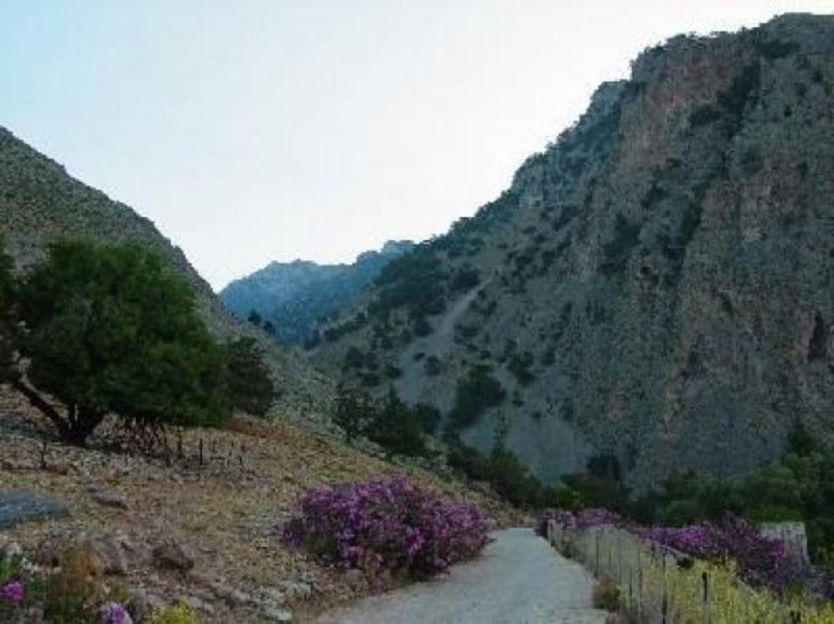 ΦΩΤΟ από το FlashNews