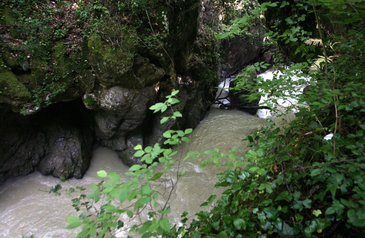 ΦΩΤΟ EUROKINISSI