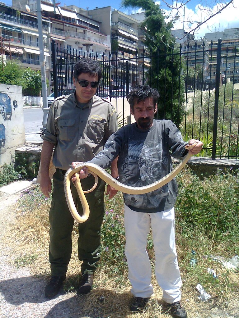 Φωτογραφία από το ΑΠΕ