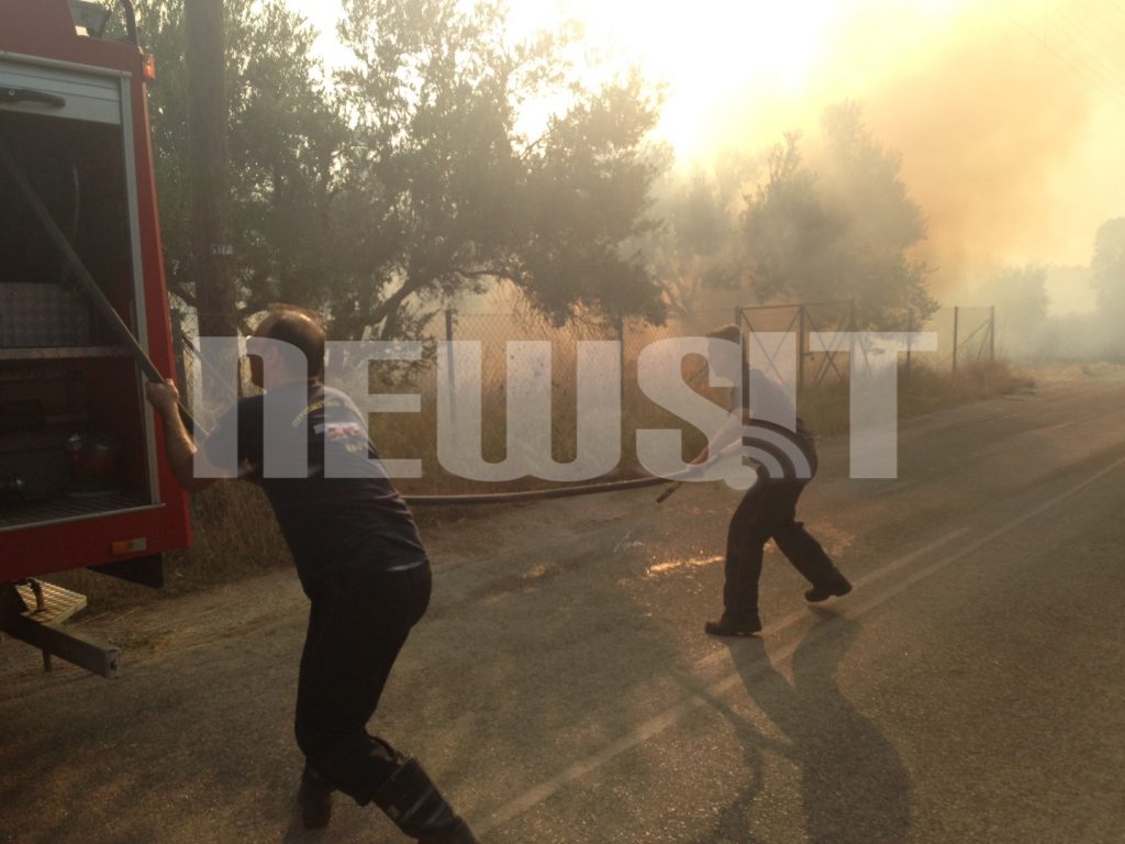 ΦΩΤΟ NEWSIT