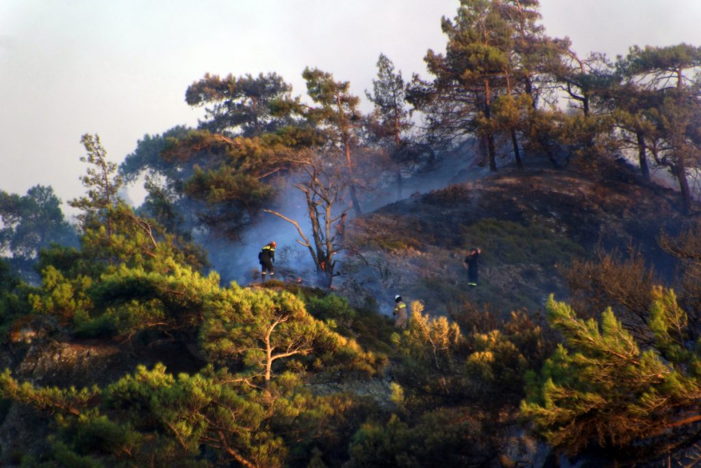 Υπό μερικό έλεγχο η φωτιά νότια του Σάνη στη Χαλκιδική