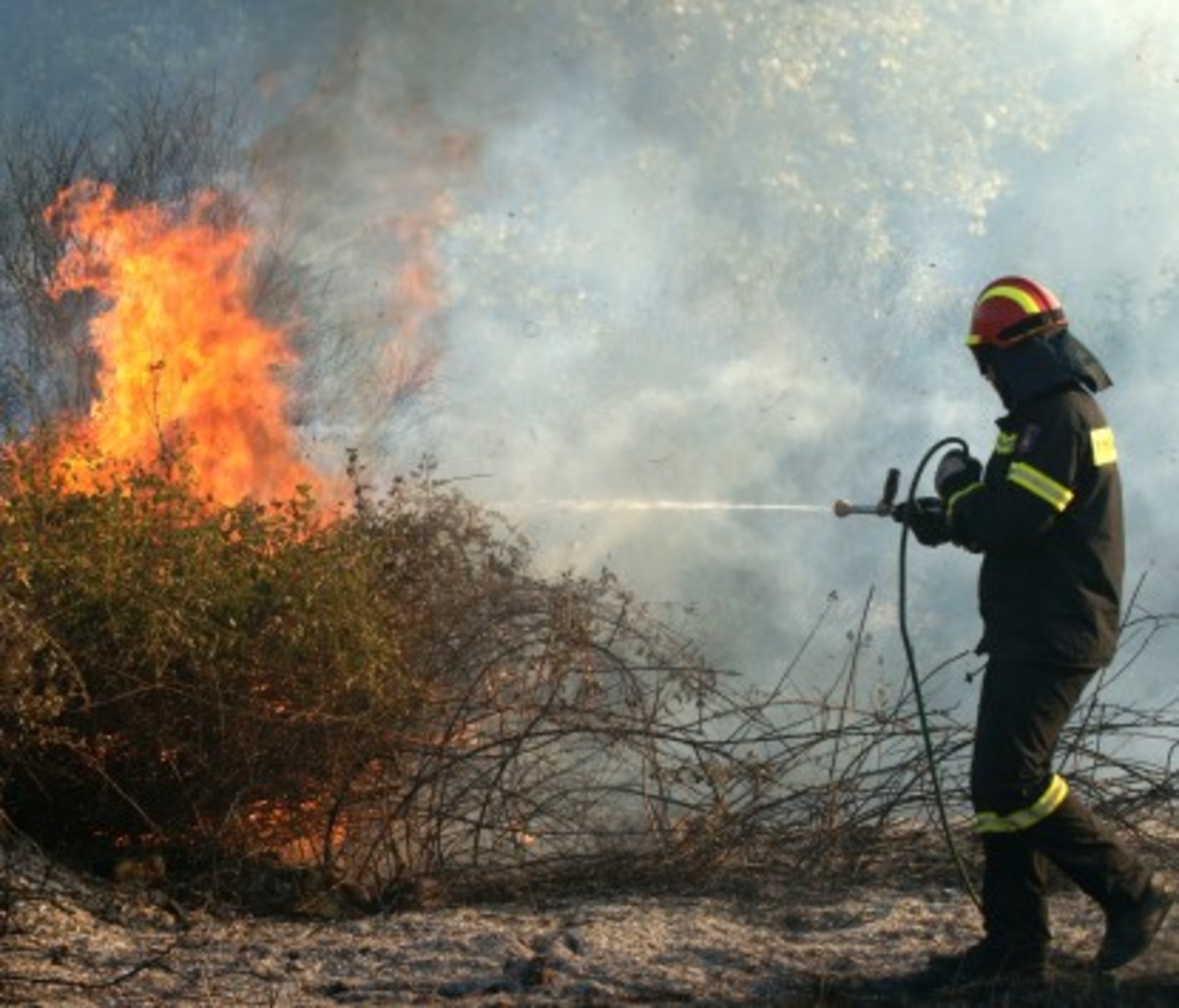 Υπό έλεγχο η φωτιά στη Λαγόμανδρα Χαλκιδικής