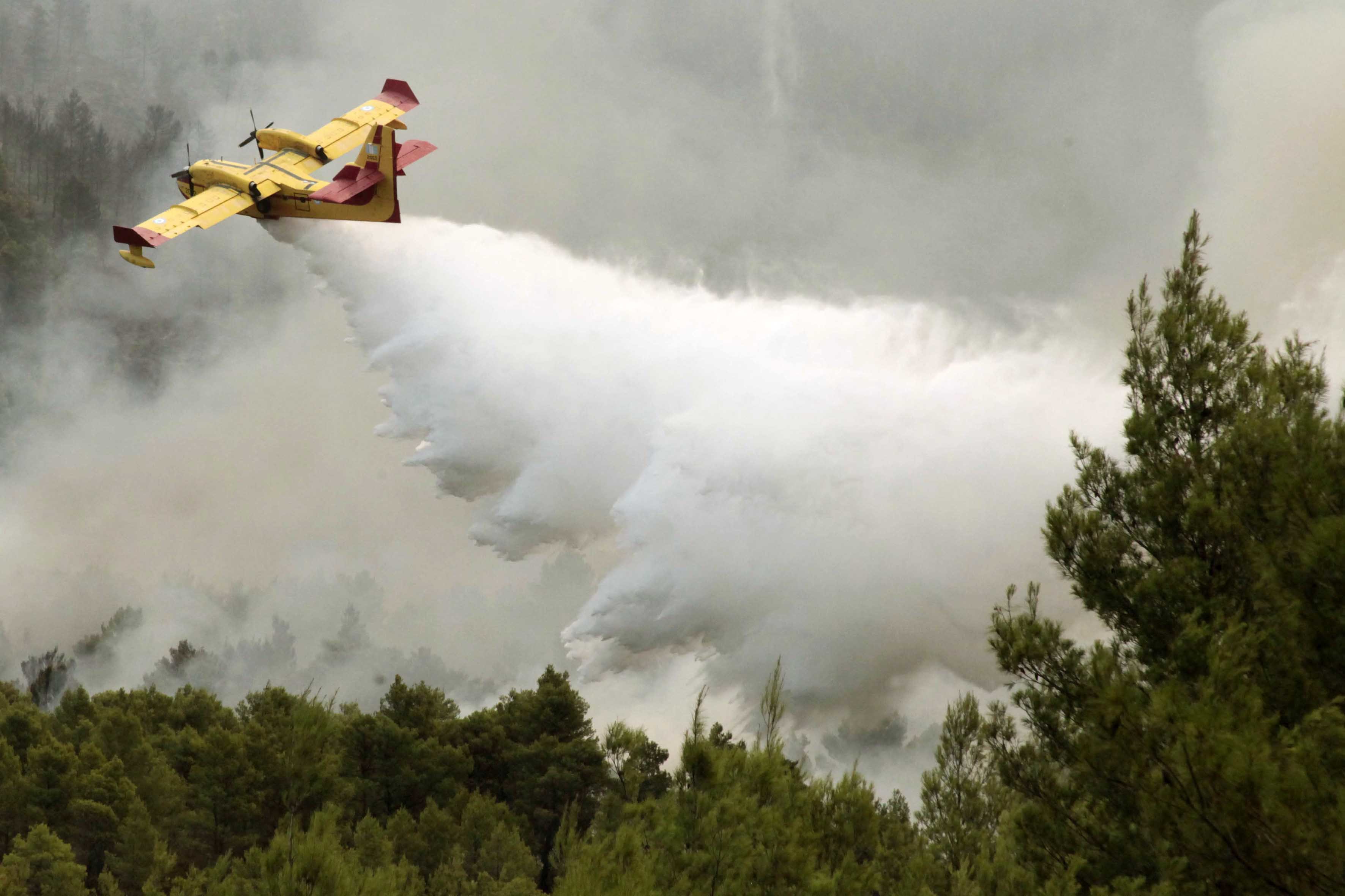 интересные факты о коже. сбрасывает. джунгли вьетнама напалм. ельцин прыжок с моста. б-52 бомбардировщик во вьетнаме.
