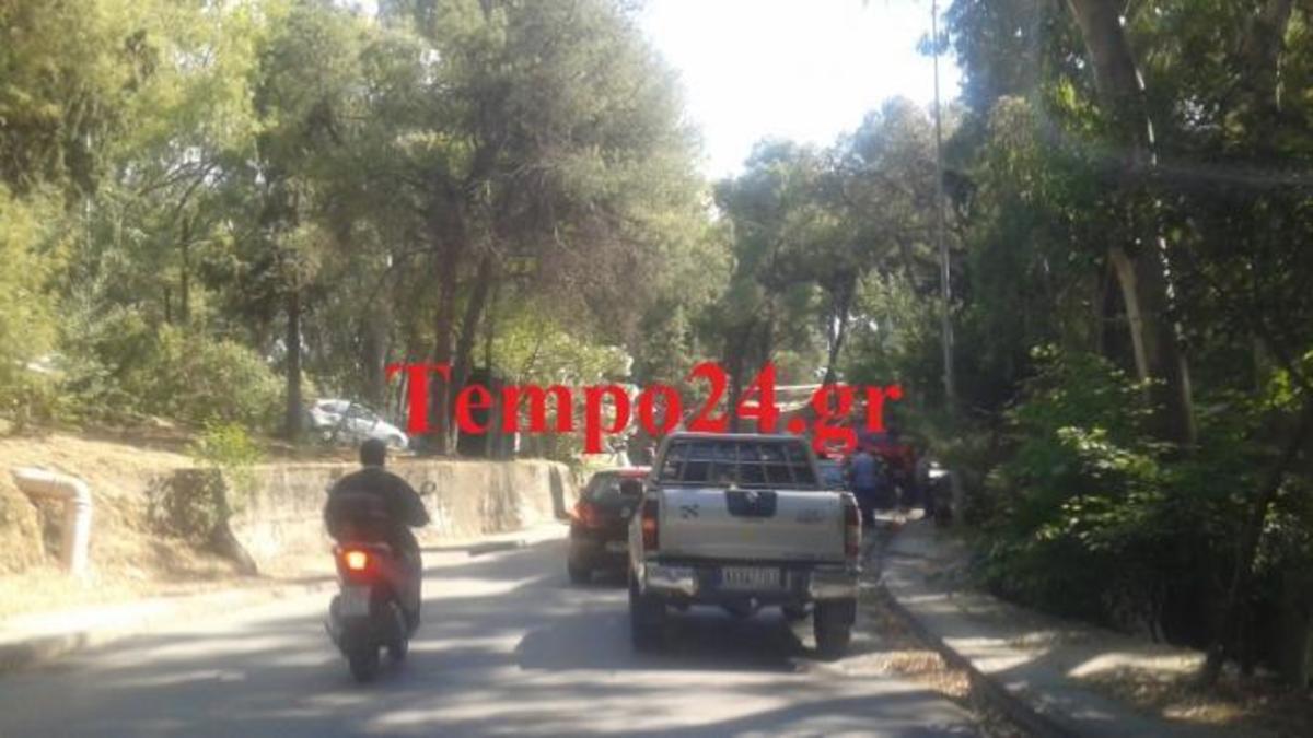 ΦΩΤΟ από το tempo24