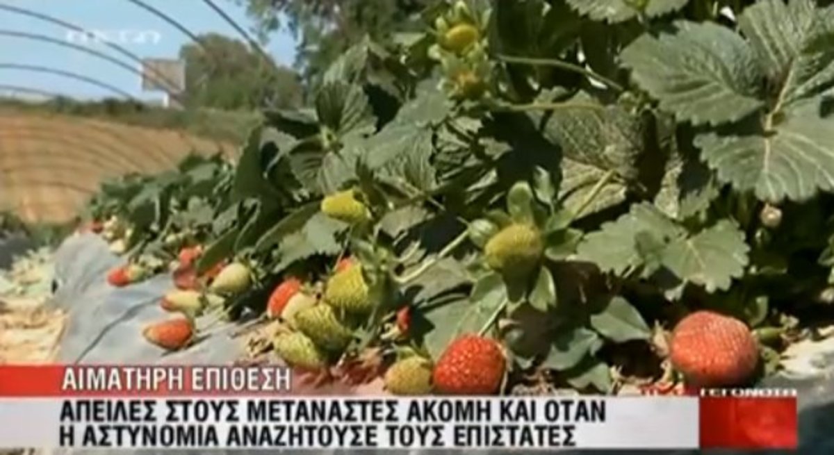 Απολογούνται επιστάτες και ιδιοκτήτης