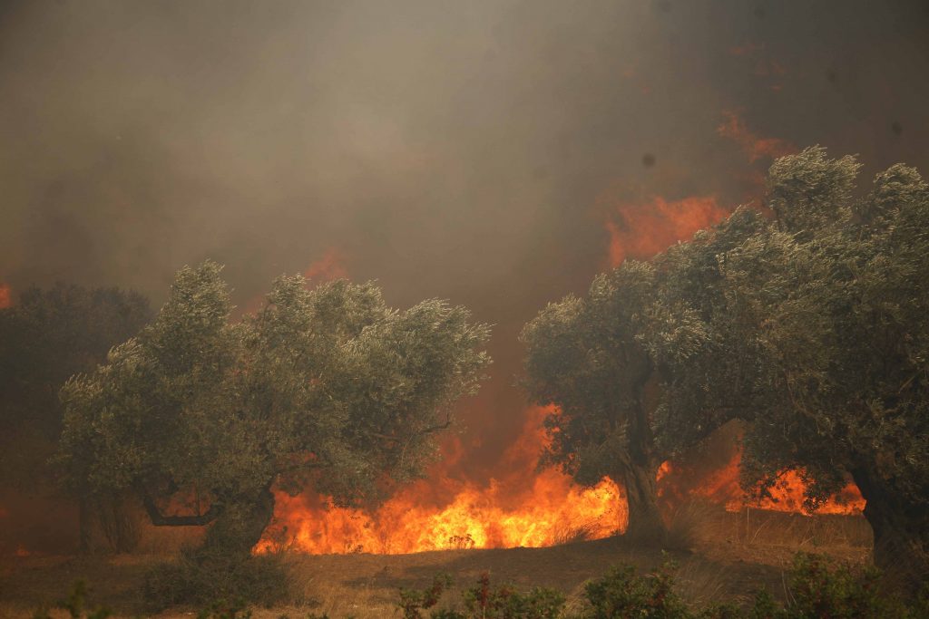 ΦΩΤΟ EUROKINISSI