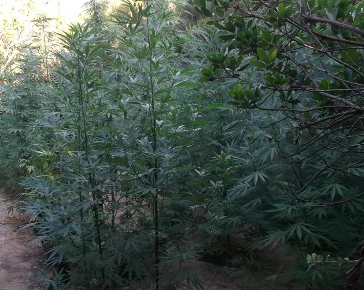 ΦΩΤΟ ΑΠΕ-ΜΠΕ