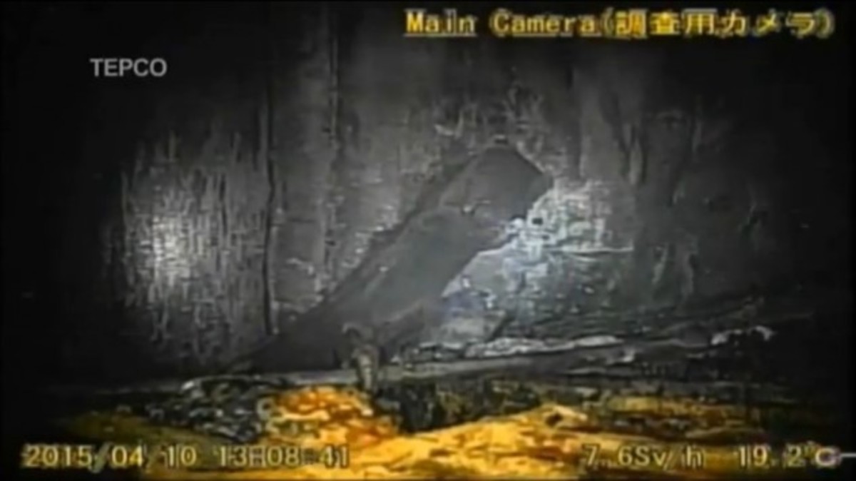 Πυρηνικός αντιδραστήρας της Φουκουσίμα