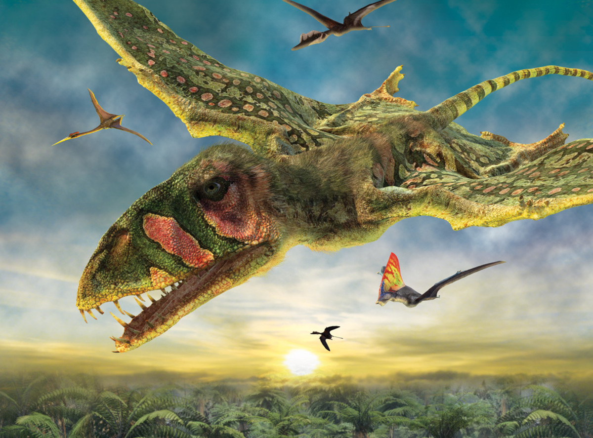 Воздушная рептилия. Птерозавры Триасового периода. Птерозавры Юрского периода. Птеродактиль Эра. Диморфодон.