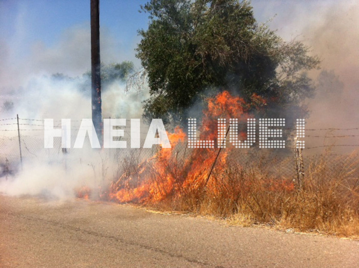 Πύργος: Φωτιά ”γλείφει” αυλές σπιτιών – Δείτε το βίντεο!