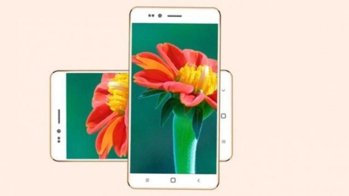 Freedom 251: Αυτό είναι το smartphone των 4 δολαρίων!