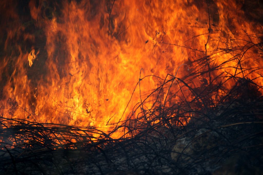 Διπλή φωτιά στο Γοργοπόταμο “φωνάζει” εμπρησμό