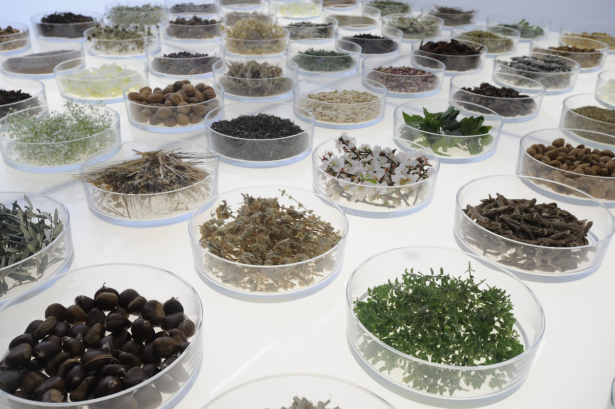 Το πιο υποσχόμενο αντιγηραντικό συστατικό προέρχεται από τη φύση