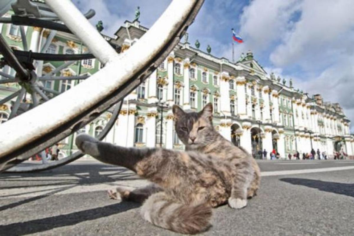 “Οι φρουροί του Ερμιτάζ”…είναι γάτες!