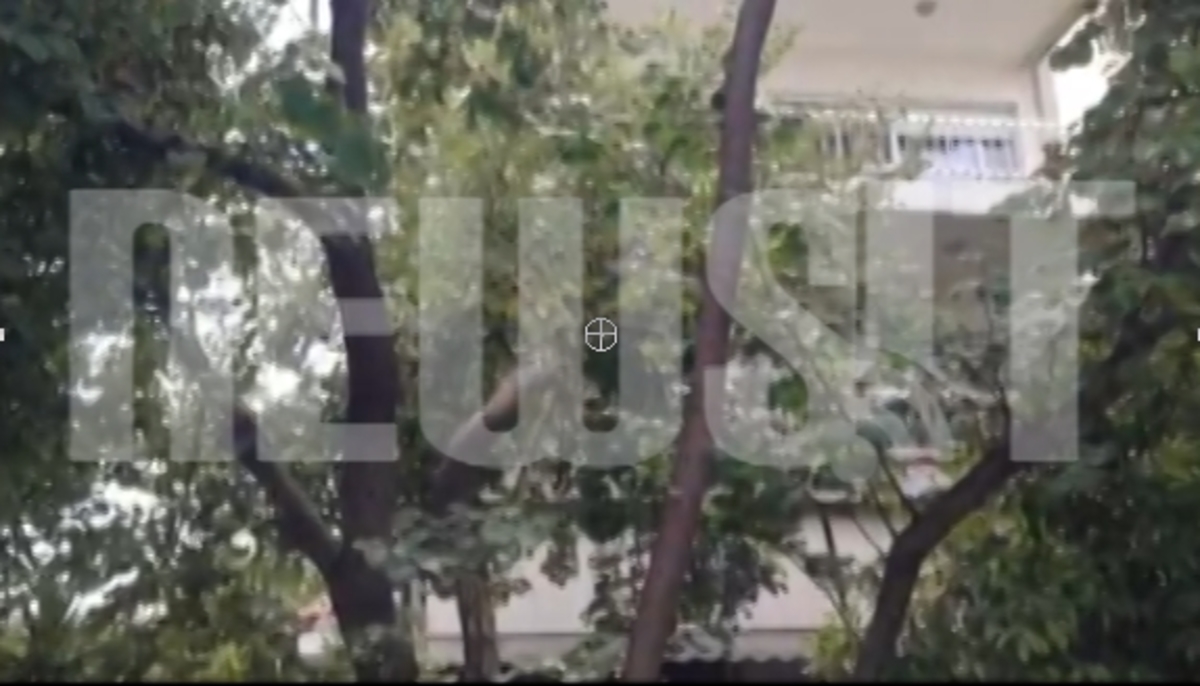 Η γειτονιά του σατανιστή