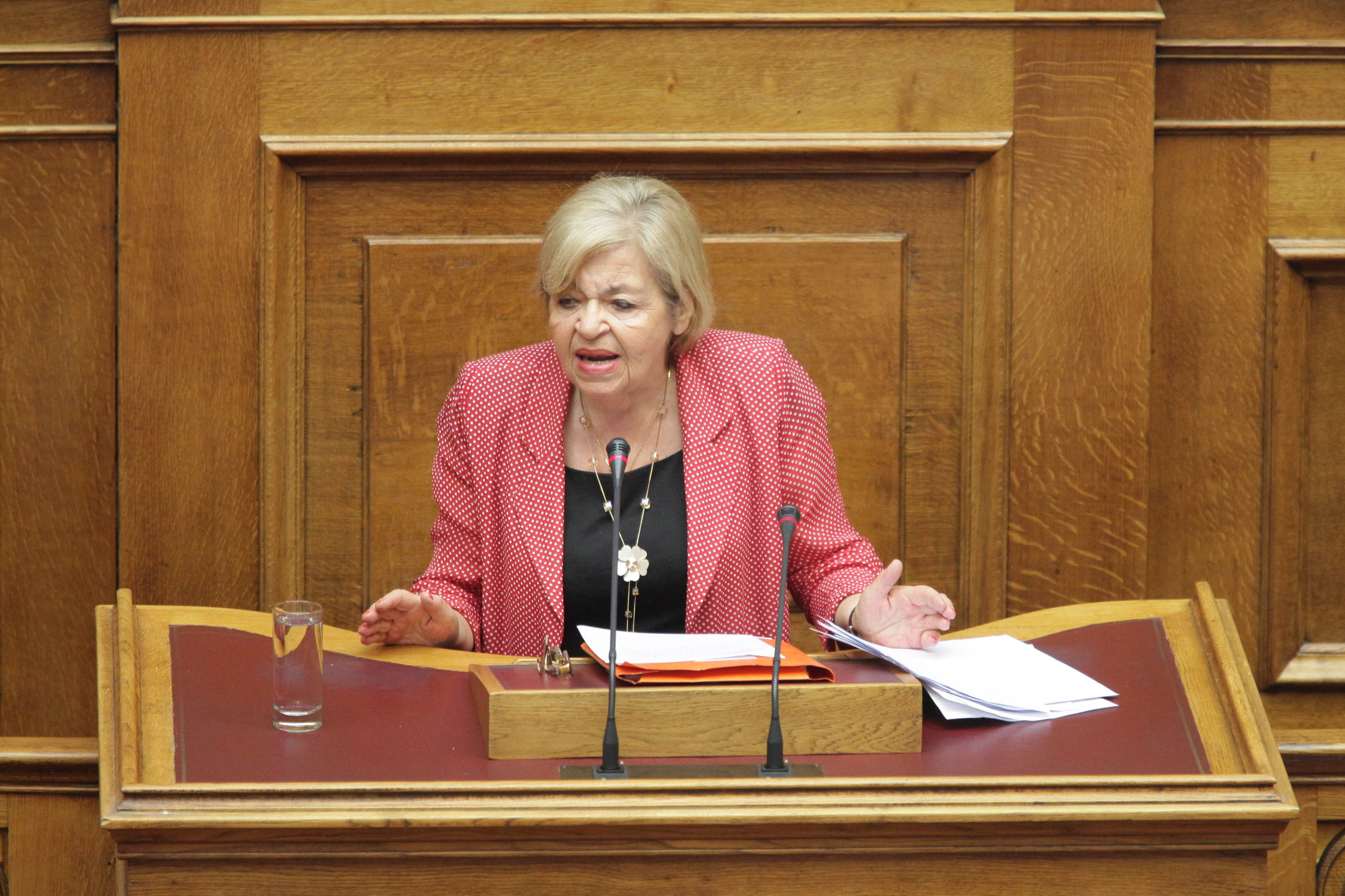 Γιαταγάνα: «Γιατί δεν κατέθεσα τελικά μηνυτήρια αναφορά κατά του Άδωνι Γεωργιάδη»