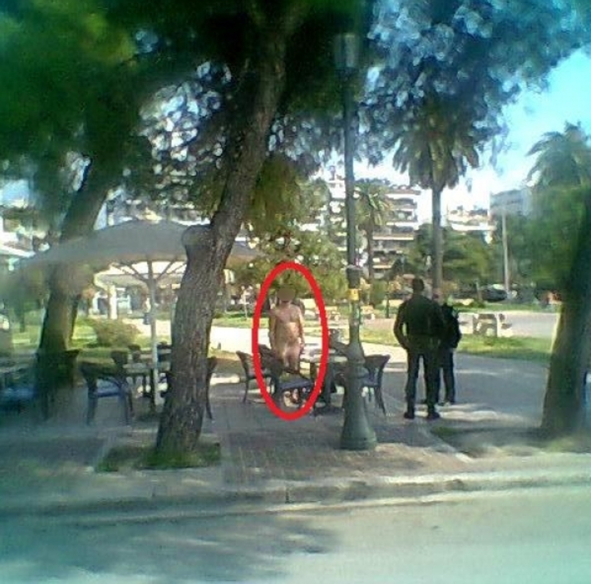 ΦΩΤΟ από dete.gr
