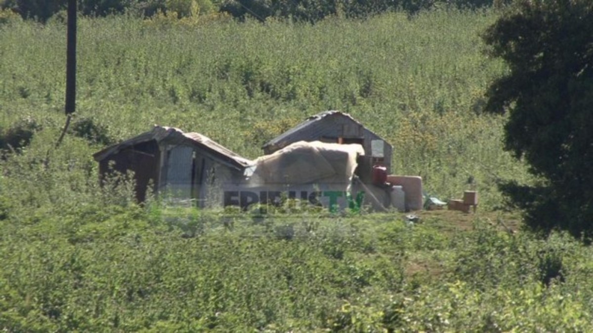 Παραδόθηκε ο δράστης του αποκεφαλισμού του βοσκού – Είχε μεταφέρει το κεφάλι στην Αλβανία