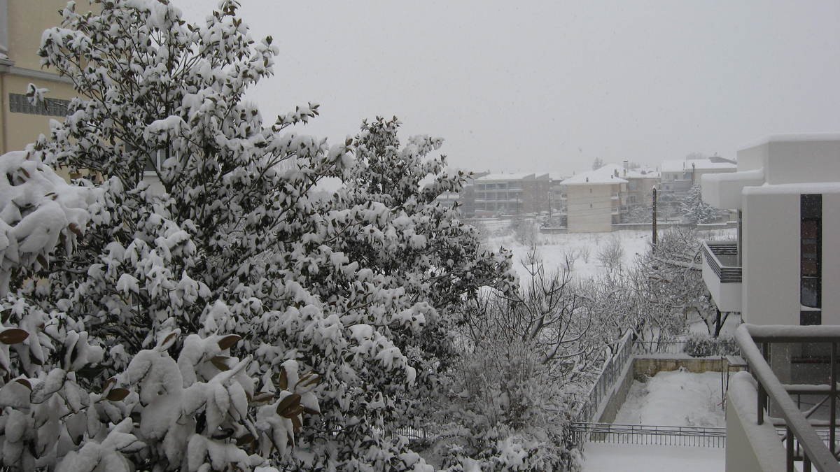Ιωάννινα – καιρός: Χιόνι παντού, κλειστά σχολεία και δρόμοι