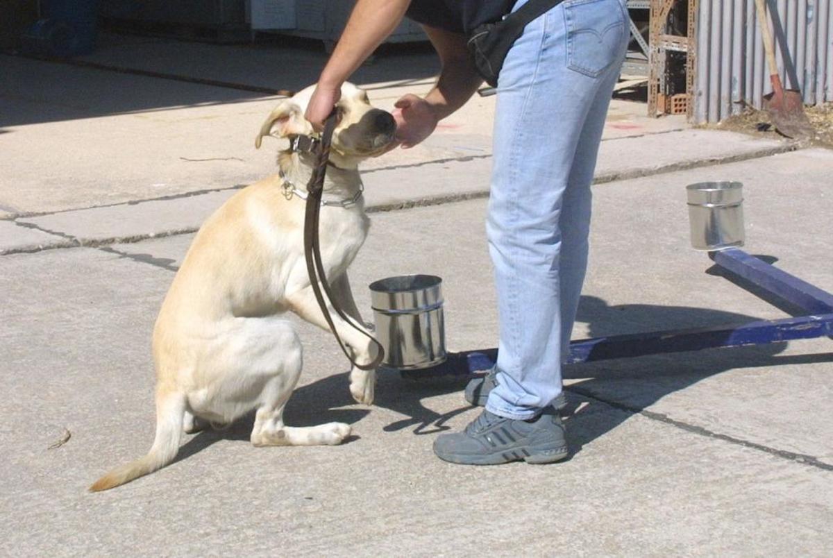 ΦΩΤΟ ΑΡΧΕΙΟΥ EUROKINISSI