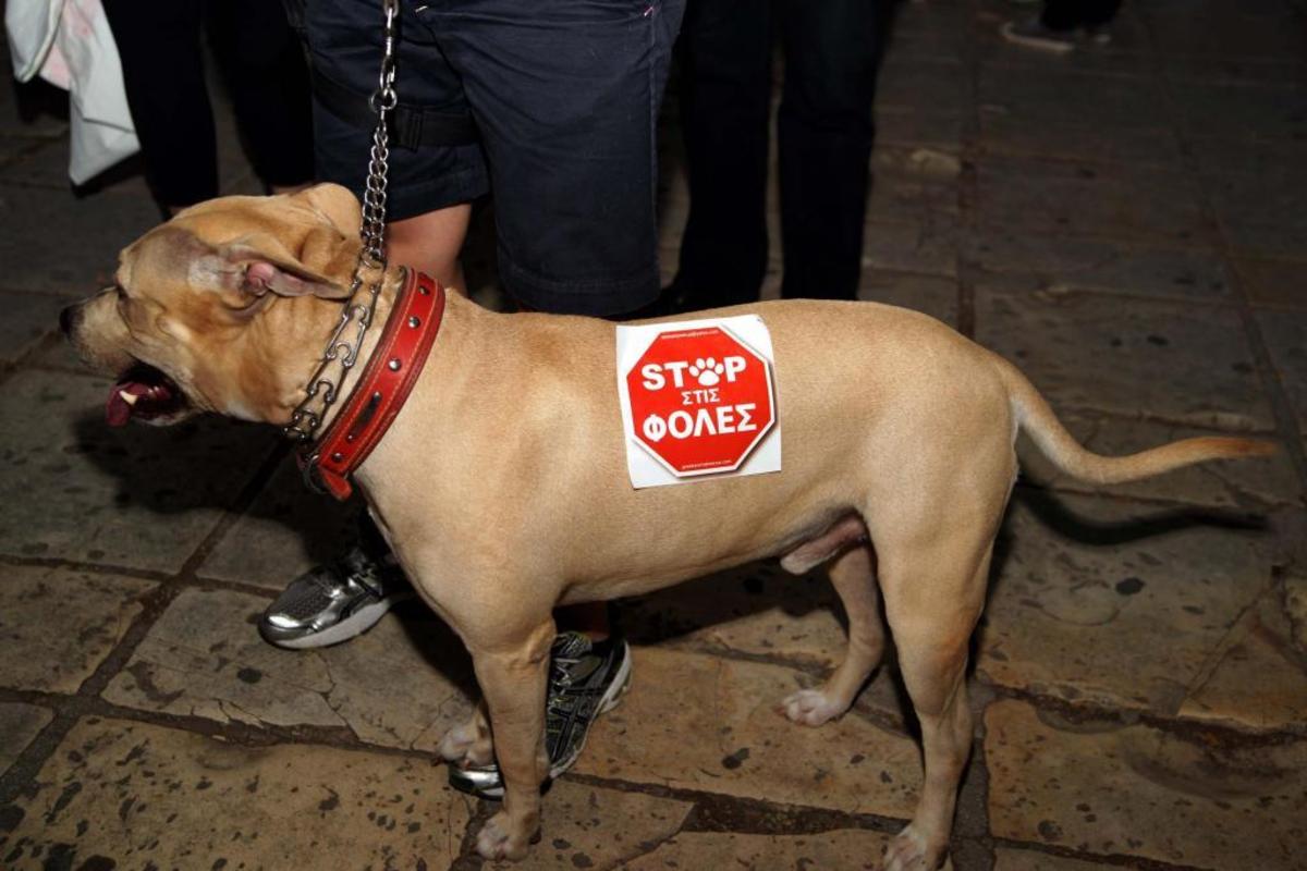 ΦΩΤΟ ΑΡΧΕΙΟΥ EUROKINISSI