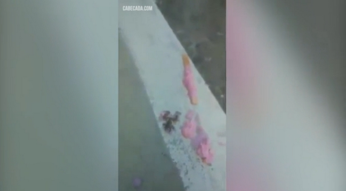 Αηδία! Βρήκε βάτραχο στο παγωτό του [vid]