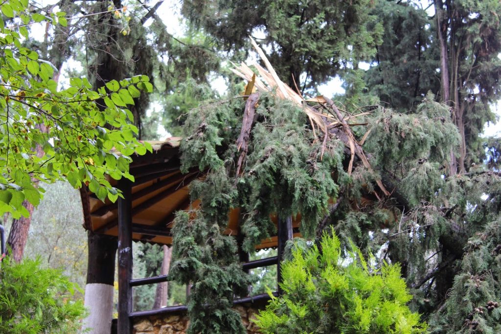 ΦΩΤΟ από το seleo.gr