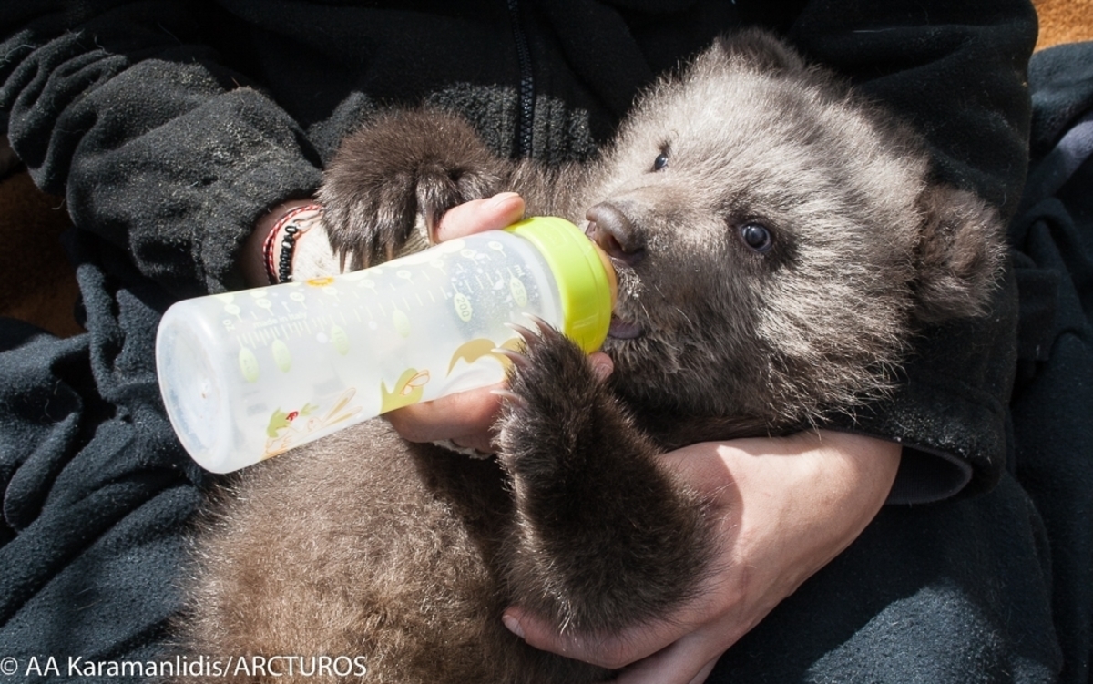 ΦΩΤΟ από ΑΠΕ - ΜΠΕ