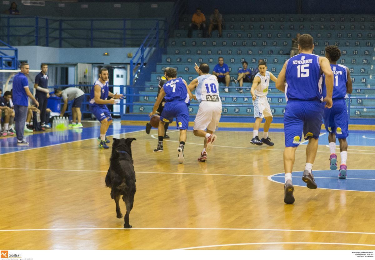 ΦΩΤΟ Eurokinissi