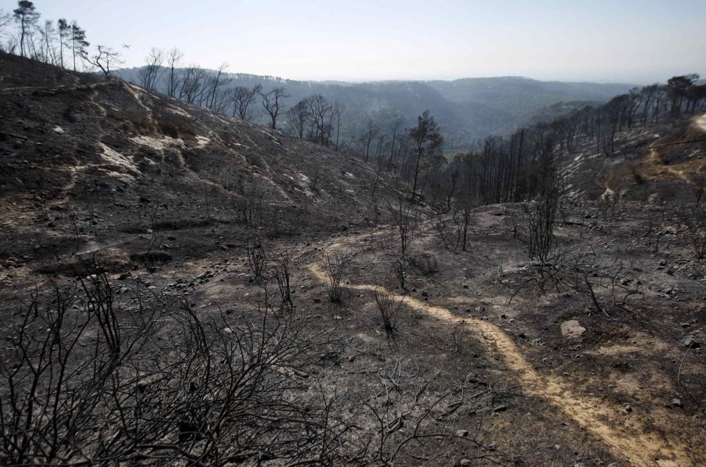 42 οι νεκροί από την φωτιά στο Ισραήλ