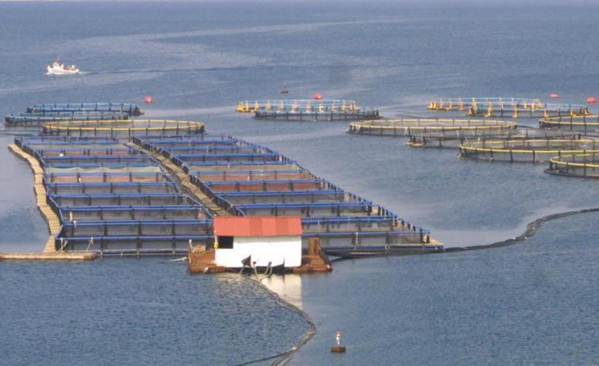 ΦΩΤΟ ΑΡΧΕΙΟΥ EUROKINISSI