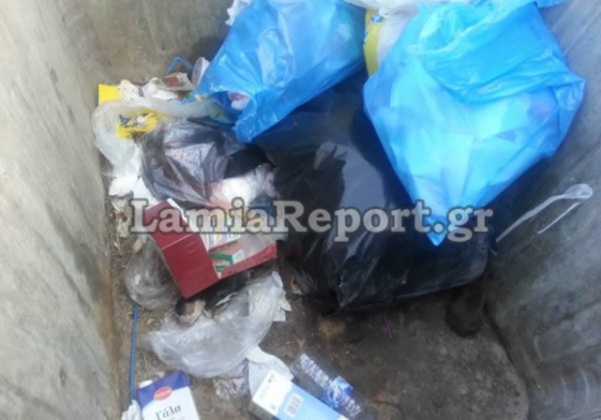 Πέταξαν κουτάβια στα σκουπίδια