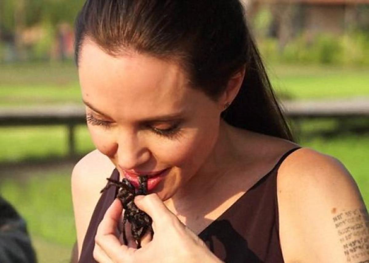 Σοκάρει η Angelina Jolie – Τρώει αράχνες και έντομα με τα παιδιά της, στην Καμπότζη! [vid]