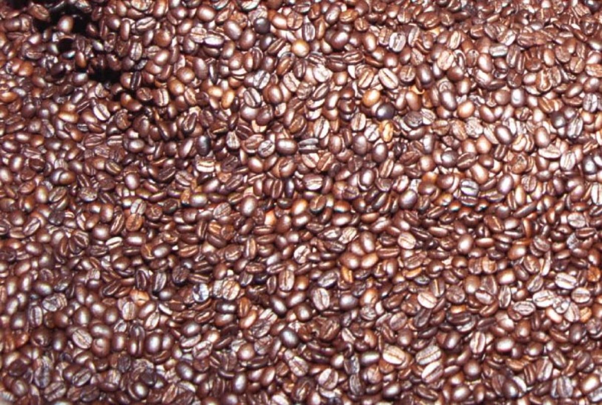 ΦΩΤΟ ΑΡΧΕΙΟΥ EUROKINISSI