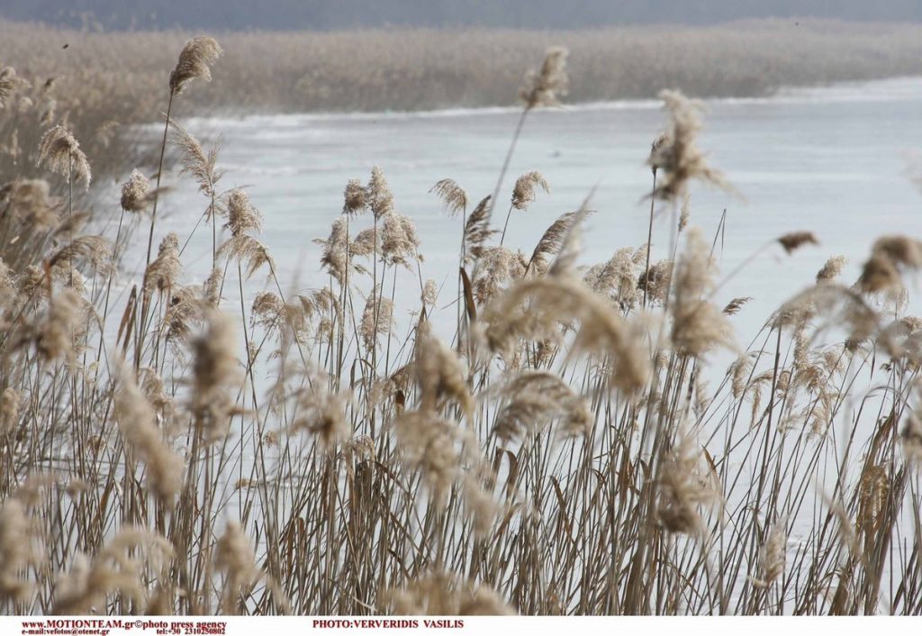 ΦΩΤΟ ΑΡΧΕΙΟΥ EUROKINISSI