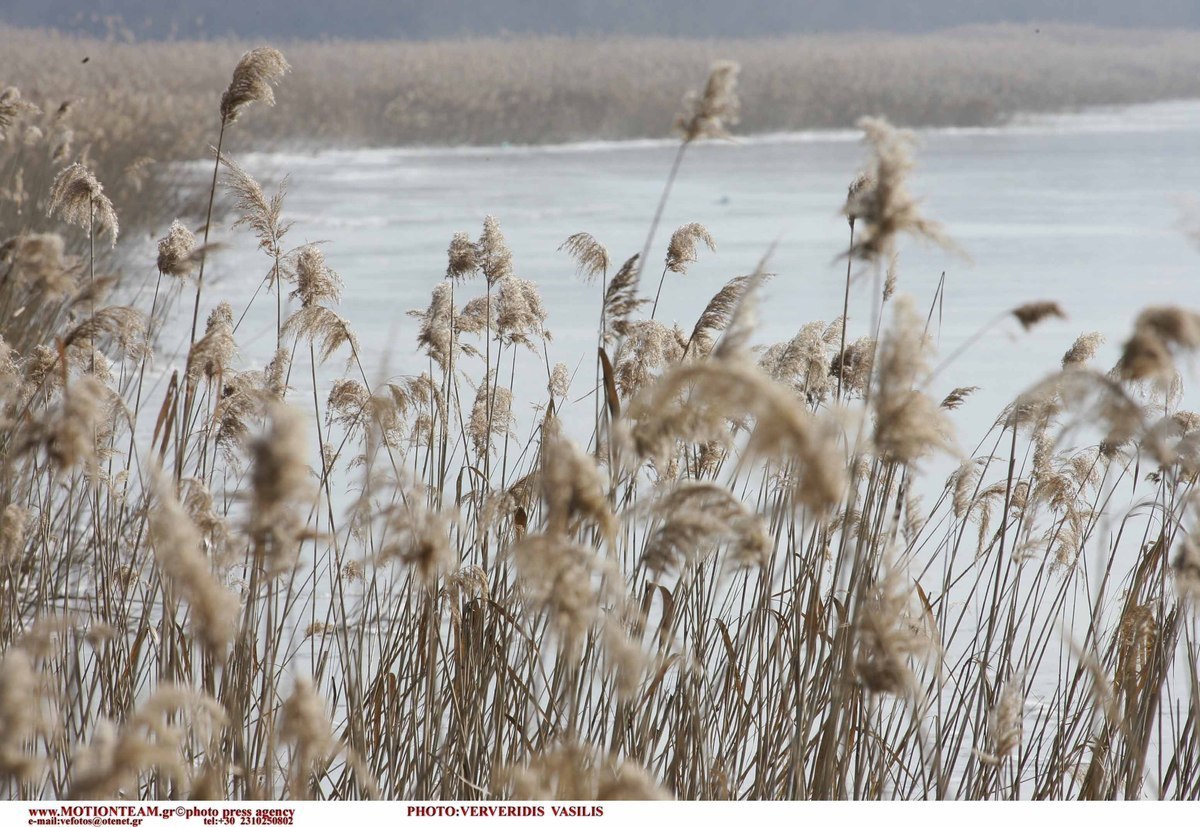 ΦΩΤΟ ΑΡΧΕΙΟΥ EUROKINISSI