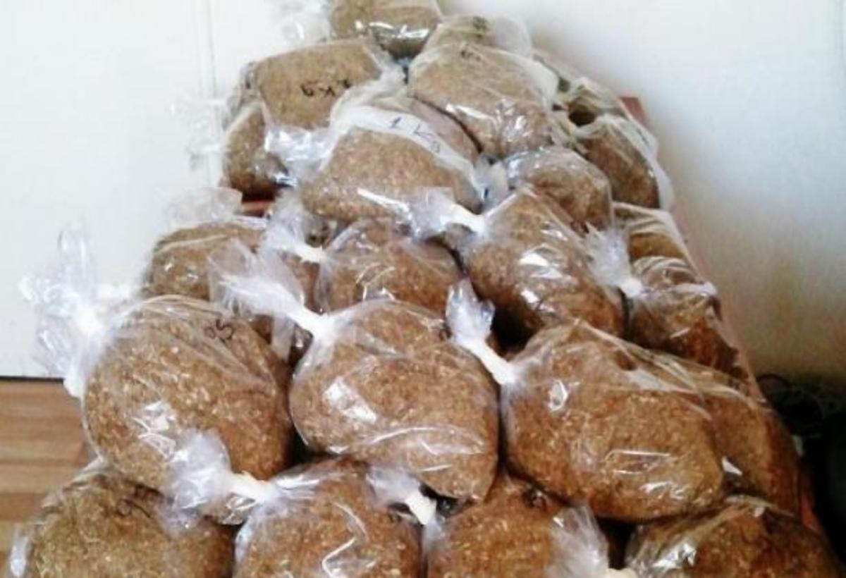 ΦΩΤΟ ΑΡΧΕΙΟΥ ΕΛ.ΑΣ.