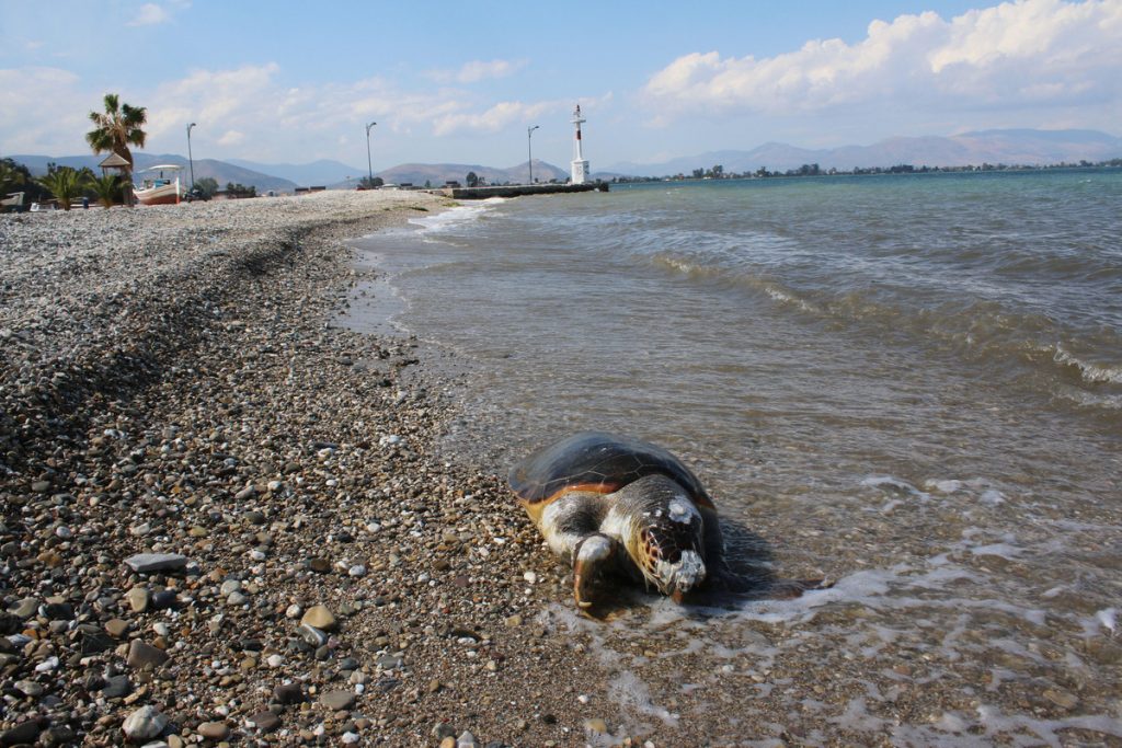 ΦΩΤΟ ΑΡΧΕΙΟΥ EUROKINISSI