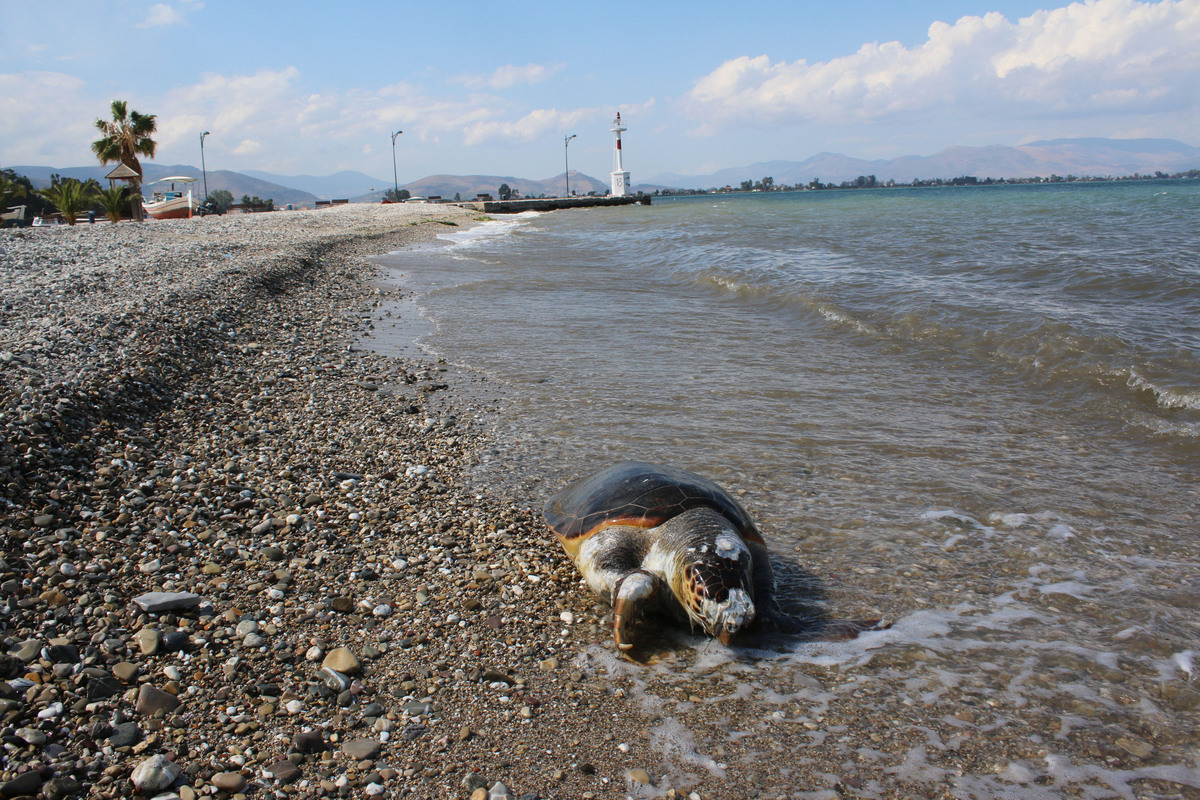 ΦΩΤΟ ΑΡΧΕΙΟΥ EUROKINISSI