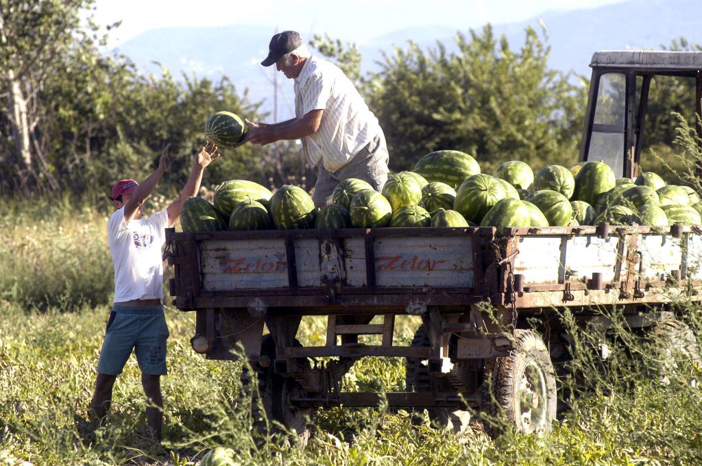 Χιλιάδες τόνοι ελληνικών καρπουζιών περνάνε “χύμα” τα σύνορα μέσα σε φορτηγά