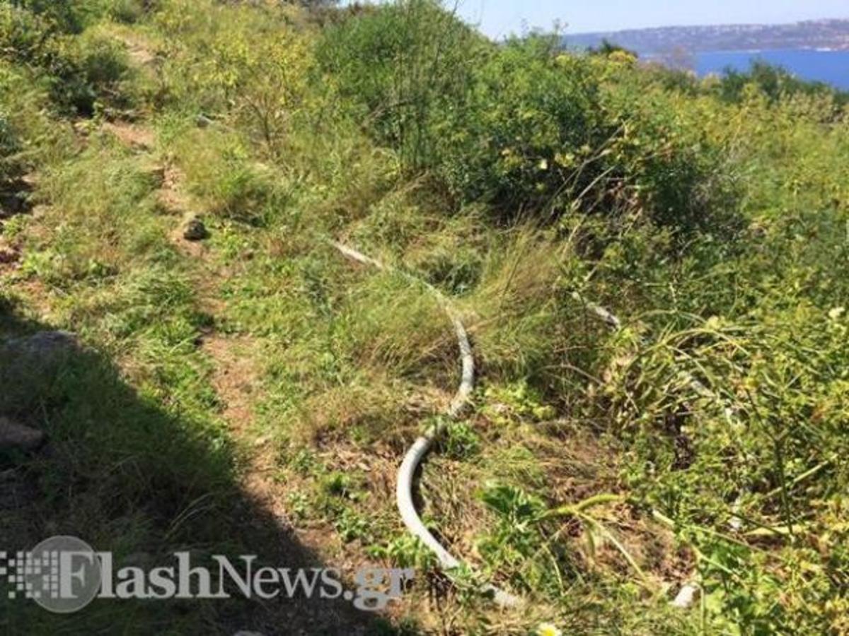 ΦΩΤΟ από το FlashNews