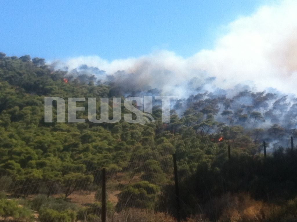 Πύρινος εφιάλτης στην Κερατέα – Κάηκαν σπίτια ενώ κινδυνεύουν δεκάδες άλλα – Πήρε φωτιά και το δάσος του Κουβαρά