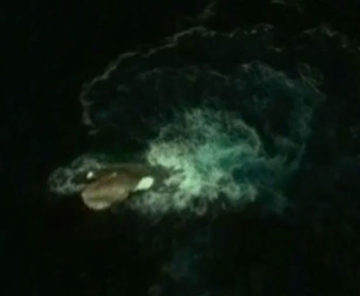 Η συγκλονιστική ανακάλυψη του Google Earth! (BINTEO)