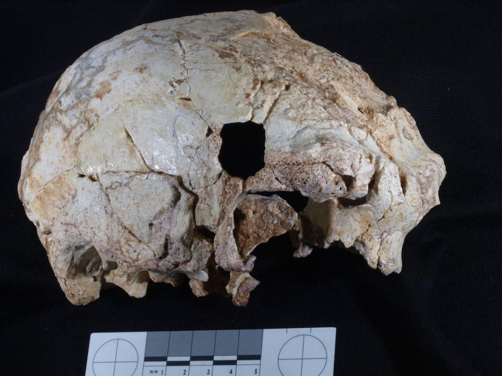 Βρέθηκε ο … παππούς του Νεάντερταλ ηλικίας 400.000 ετών