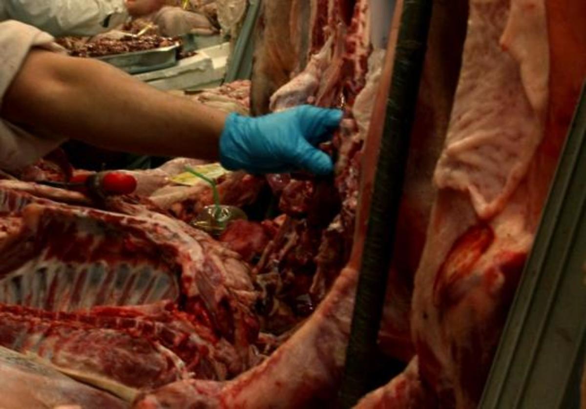 ΦΩΤΟ ΑΡΧΕΙΟΥ EUROKINISSI